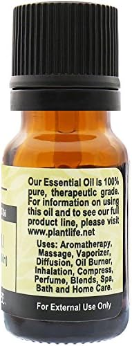 PlantLife Patchouli Aromatherapy שמן אתרי - היישר מהצמח ציון טיפולי טהור - ללא תוספים או חומרי מילוי