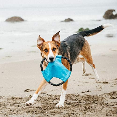 Zippypaws - חבל Gliderz עמיד כלב חיצוני צעצוע דיסק מעופף - כחול