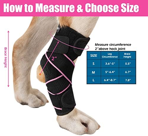 סד רגליים לכלב פטנדו לעטיפות דחיסת מפרק למשכן אחורי לכלבים בינוניים וגדולים להגנה על גב, פציעה ונקע, טיפול
