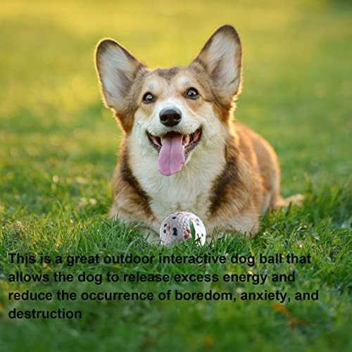 צעצועים של כדורי כלבים לעיסות אגרסיביות, כדור כלבים קופצני עמיד, קל משקל וצף, צעצועי כדור כלבים ללעוס ולשחק