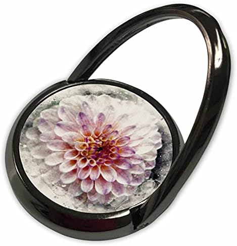 תמונת פרחי דליה ורודה ורכה וסגולה סגולה תמונת פרחי דליה של צבעי מים - טבעות טלפון