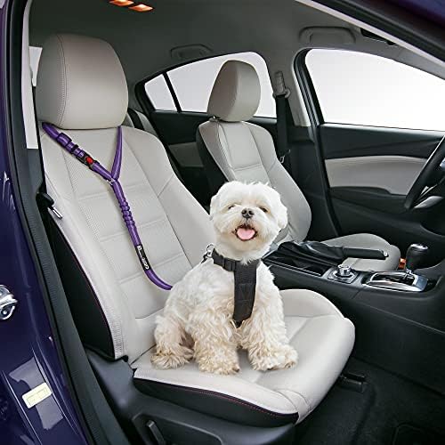 רתמת חגורת בטיחות כלב נוחה לרכב-רצועה 2 ב -1 ואיפוק מאבטחות למשענת ראש. באנג'י מתכוונן, חזק, עמיד,