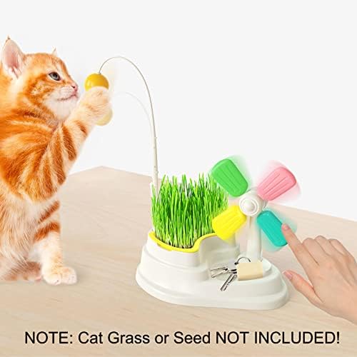 חתול כדור צעצועי מקורה, אינטראקטיבי חתול צעצוע דשא טיפוח מיכל, קיטי אספקת משכך מתח הקלה חתול