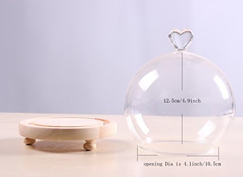Siyaglass זכוכית צלולה Cloche Globe תצוגה צנצנת פעמון כיפה עם ידית לב בסיס עץ DIA 5.9 אינץ '