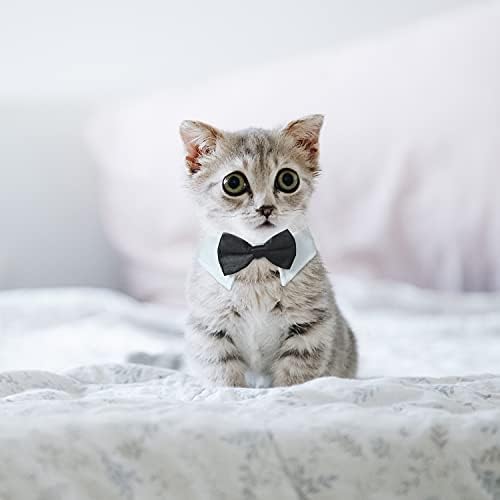 חתול טוקסידו, קולמוקס מתכוונן חליפת לבן צווארון עם פורמליות קשתות ועניבות עבור חיות מחמד, שחור עניבהעבור קטן בינוני