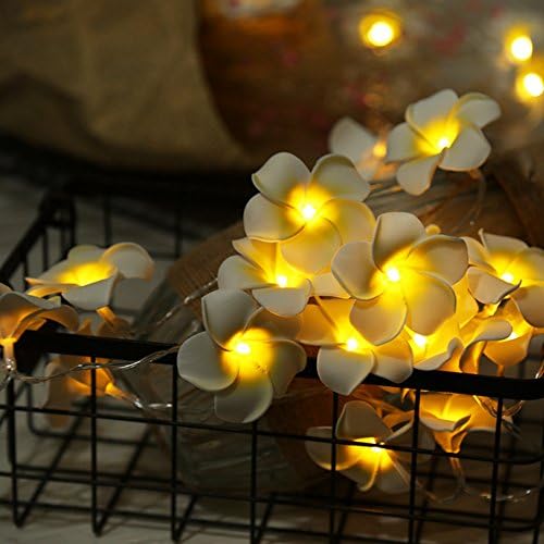 Acelist 2 חבילה Frangipani 20 מיתר LED אור הוואי קצף מלאכותי פלומריה ורוד פרח סוללת פיות פיות אורות