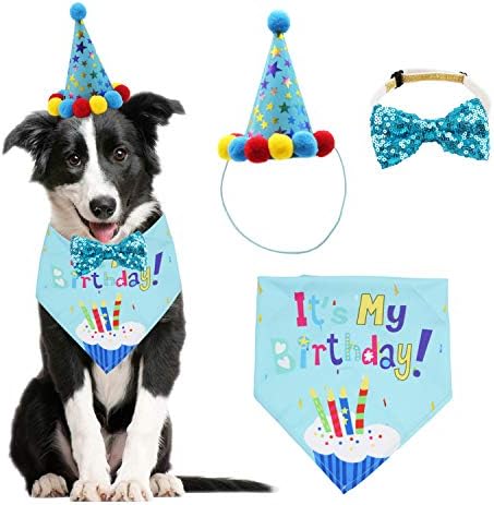 כלב יום הולדת בנדנה צעיף וכלב ילדה ילד מסיבת יום הולדת כובע עם חמוד כלב עניבת פרפר עבור קטן בינוני גדול