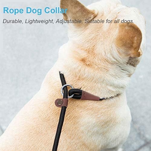 Maypaw Slip Slip Lead Collar + 12ft קו אימון כלבים רפלקטיבי