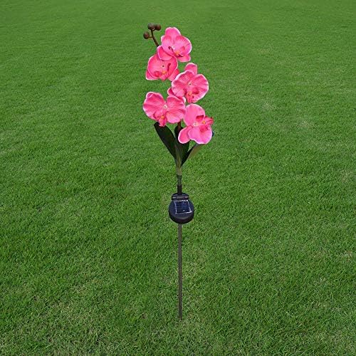 N/A 5 ראש חיצוני LED מופעל אור סחלב מנורת פרחי סחלב לחצר גן דרך דרך דשא עיצוב נוף