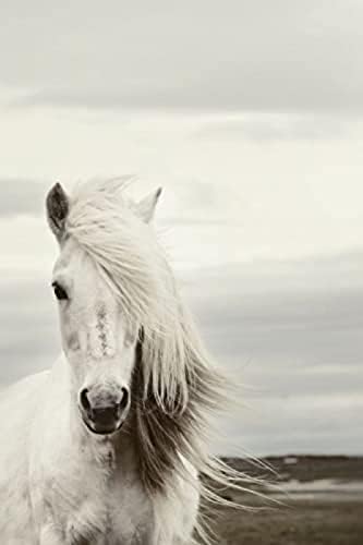 5 ד יהלומי ציור בעלי החיים ריצה סוסים רקמת ריינסטון פסיפס קישוט יהלומים פנינה אמנות ומלאכות אביזרי מלא תרגיל ערכת