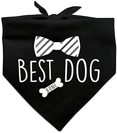 משפחת מטבח הטוב ביותר כלב חתונה שחור לחיות מחמד בנדנה, כלה מסיבת כלב בנדנה, חתונה תמונת נכס, חיות מחמד צעיף