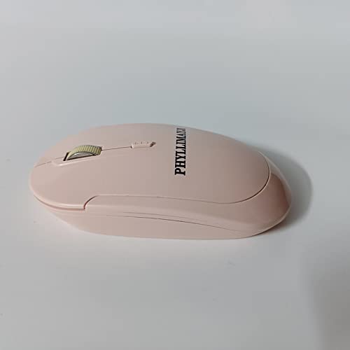 אלחוטי מחשב ציוד היקפי, מחשב אלחוטי עכבר, 2.4 גרם חרישי נייד עכבר ארגונומי עכבר.