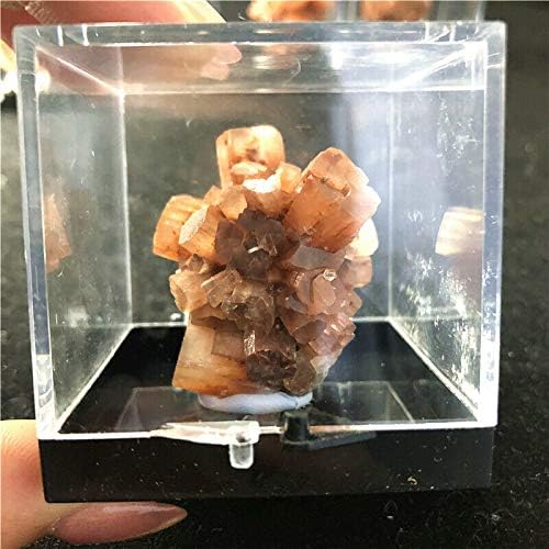 SUWEILE JJST 1 BOX Natural Argonite Crystal Crystl