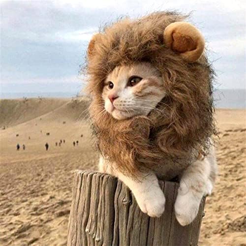 Jinyawei כובע חיות מחמד חמוד אריה רעמה חתול פאה חיית מחמד כלב קטן חתולים תלבוש