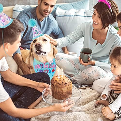 Purrnbark כלב יום הולדת כובע בנדנה עם מספרים ציוד מסיבות בנדנה כלבלב חמוד לילדה בינונית קטנה