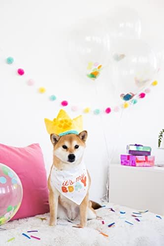 סט כובע בנדנה יום הולדת שמח, מתנת יום הולדת לחיות מחמד, אביזרי מסיבת יום הולדת לכלבים, כובע מסיבה ובנדנה לכלבים,
