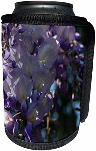 3drose wisteria אור שמש וצללים מקרוב צילום - יכול לעטוף בקבוקים קיר יותר