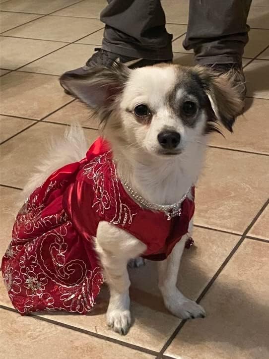 Qwinee Bow Decor שמלת כלב שמלת מסיבות בלינג לחתולים בינוניים קטנים כלבים נצנצים שמלת נסיכה כלב גור רשת