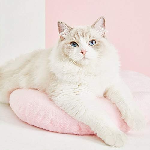חתול מיטות לחתולים מקורה דלוקס מיטה לחיות מחמד סגור חמוד חתול מיטת נשלף נוח לא עיוות אינו קריסה