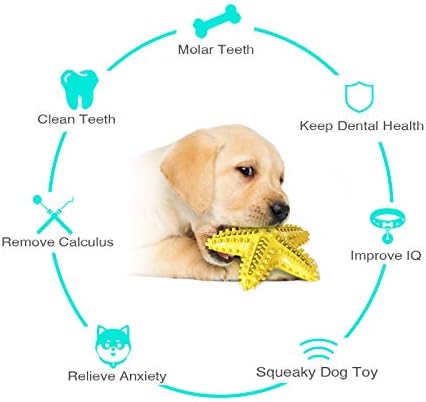 כלב ללעוס צעצוע-חורק מברשת שיניים עמיד גומי כלב צעצועי שיניים ניקוי, קשה כלב צעצועי אגרסיבי לועסי