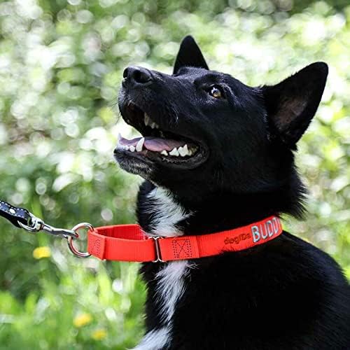 Dogids בהתאמה אישית של מרטינגייל ניילון צווארון כלבים - מותאם אישית, רקום, בטוח, מיוצר בארהב - ורוד