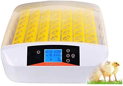 103234536 56 ביצת חממה אוטומטית דיגיטלי האצ ' טמפרטורת לחות בקרת עבור תרנגולות ברווזים ציפורים עם בדיקות אור