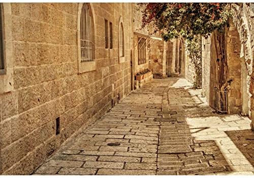10 על 8 רגל ירושלים ישן צר רחוב רקע ישן ירושלים אבן רקע אביב פרחי שמש רקע לצילום רקע עתיק אבן קיר