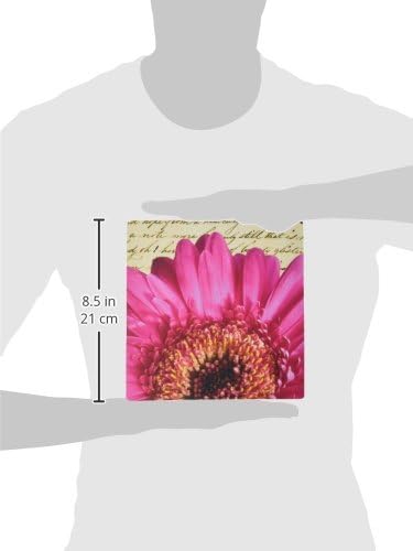 3 רוז 8 איקס 8 איקס 0.25 סנטימטרים משטח עכבר, חם ורוד גרברה פרח צילום מקרוב ילדה מאקרו פרחוני צילום