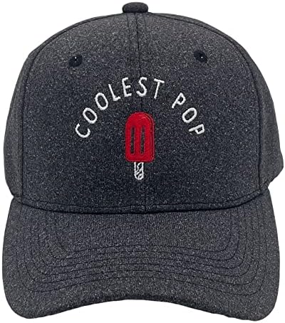 הכי מגניב פופ כובע מצחיק הטוב ביותר אבא אי פעם ארטיק מגניב אבות יום כובע מושלם יום הולדת לאבא שחור-פופ