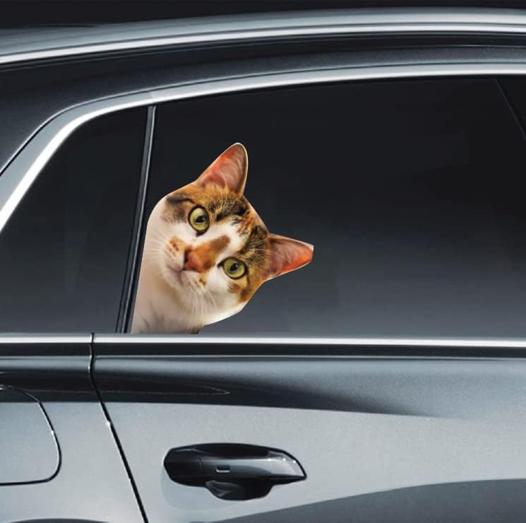 מדבקות חלון רכב חתול מצחיקות מדבקות אטומות למזג אוויר