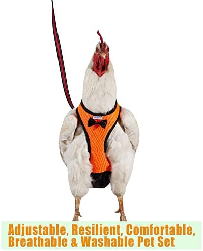 רתמת עוף של יסינו גודל תרנגולת עם רצועה תואמת 6ft תואמת סט נוח, נושם ונושם רחיץ - לגוזלים, אווזים,