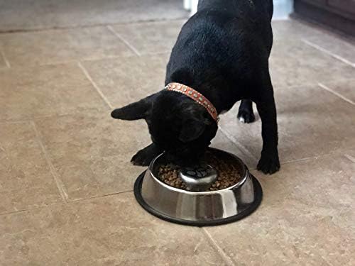 כפות של קובי נירוסטה איטי להאכיל אינטראקטיבי כלב קערה עם החלקה תחתון מונע להתפיח, אכילה מהירה ומשפר את