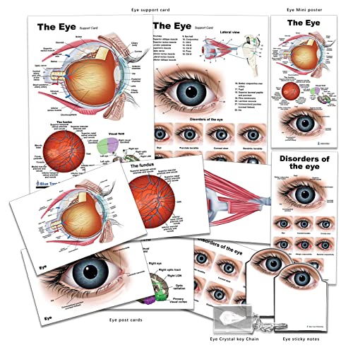קופסת מתנה של Eye12 לחתיכה לרפואת עיניים ותלמידים