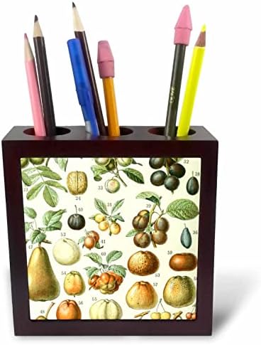 3 רוז בציר צבעוני פירות אמנות הדפסת בוטני פירות בריאות. - מחזיקי עט אריח