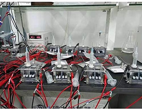 50 מל MFC Microbial Reactor אלקטרוליזה תסיסה תסיסה תיבת תא דלק מחשב מחשב כורי קרום פרוטון סנדוויץ 'סנדוויץ'