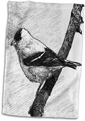 3drose Jackie Popp Birds - אמריקן גולד פינץ 'עפרונות אמנות דיגיטלית - מגבות