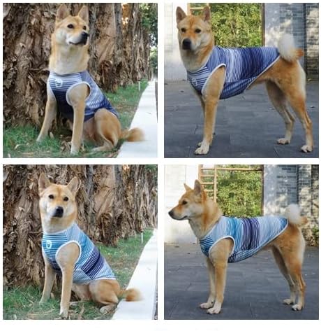 חולצת כלבים וחתולים של דג'ידלי בבד טק, בגדי חיות מחמד לכלבים גדולים, בינוניים וקטנים, 2 חבילה של חולצות ספורט