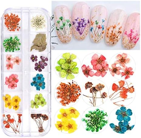 3 קופסות פרחים מיובשים עבור נייל אמנות, 36 צבעים יבש פרחי מיני אמיתי טבעי פרחי אספקת אמנות ציפורן