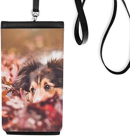 כלב חיות מחמד צילום טלפון ארנק ארנק תליה כיס נייד כיס שחור