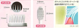 יפן בריאות ויופי - GC GC Rushero P -20 מברשת שיניים פיזרה של 5 שניות Softeraf27