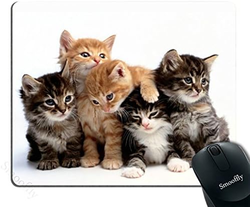 חתולי משטח עכבר למחשבים, חתולי משפחת גורים משטח עכבר
