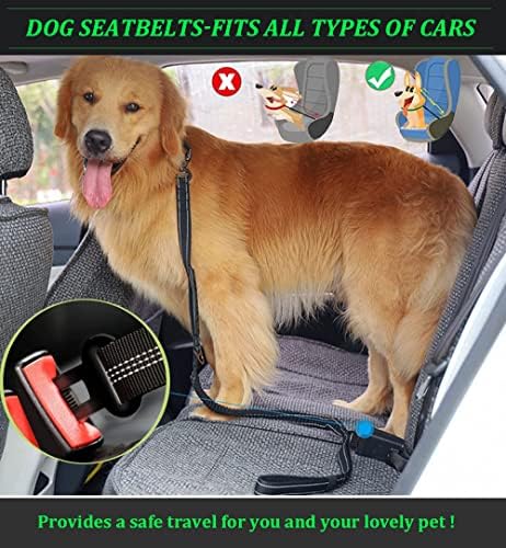 חגורת בטיחות כלבים טקטית, צווארון כלבים טקטי אדום ומערך רצועות, כבד ללא רצועות מחמד צבאיות עם אבזם