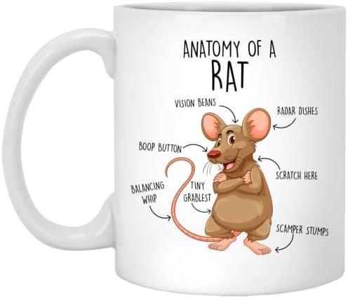 עכברוש קפה ספל, חמוד עכברוש מתנה, עכברוש מאהב, עכברוש כוס, מתנה בשבילה, לו, חנוכת בית, יום הולדת, עכברוש דקור,