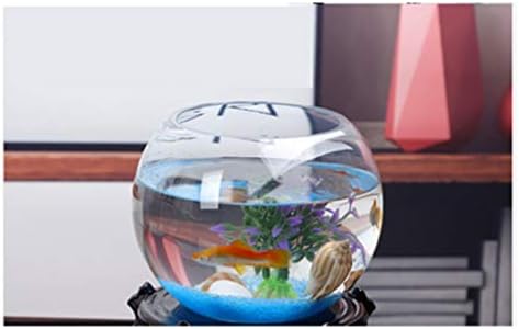 דגי טנק/אקווריום טנק יצירתי זכוכית דגי טנק כדורי עגול צב טנק דג זהב קערת שולחן העבודה קישוט שקוף דגי טנק דגי