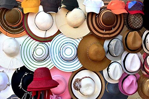 כובעים כובעים כובעים מאת רמונה מרדוק הדפס אמנות, 21 על 14 אינץ