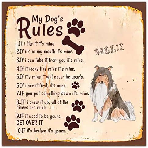 מצחיק מתכת כלב סימן שלט שלי כלב של כללים רטרו לחיות מחמד כלב דלת קולב עם מצחיק חיות מחמד כלב