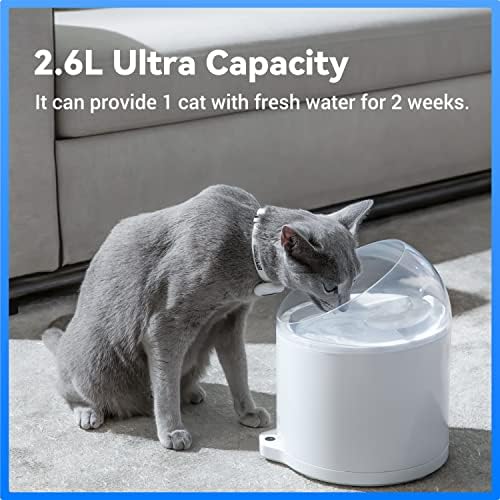 CATLINK ניקוי עצמי קופסת המלטה של ​​חתול עם מזרקת מי חתול של CATLINK עם משאבה אלחוטית, 91.71OZ/2.6L,