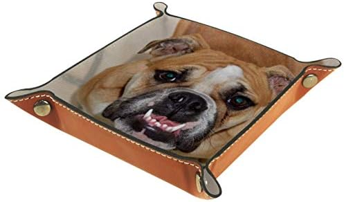 שיני כלבים של ליטני בולדוג בריטי מארגן חום מארגן אחסון קופסת מיטה מיטה קאדי שולחן עבודה מגש החלפת ארנק מפתח