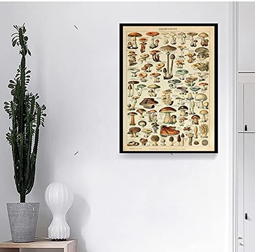 בציר צרפתית סוגים של פטריות 11 על 14 אינץ בד הדפסת כרזות בית תפאורה בד אמנות הדפסה