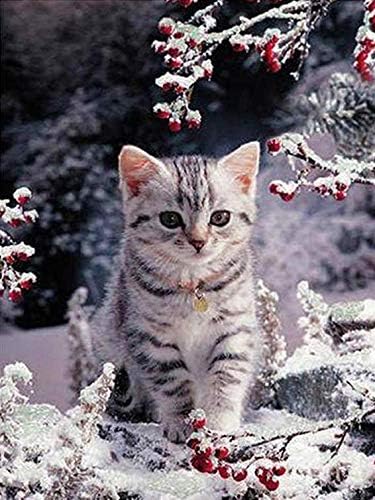 5 ד יהלומי ציור חתול יהלומי רקמת בעלי החיים פסיפס צלב סטיץ ערכת בית תפאורה